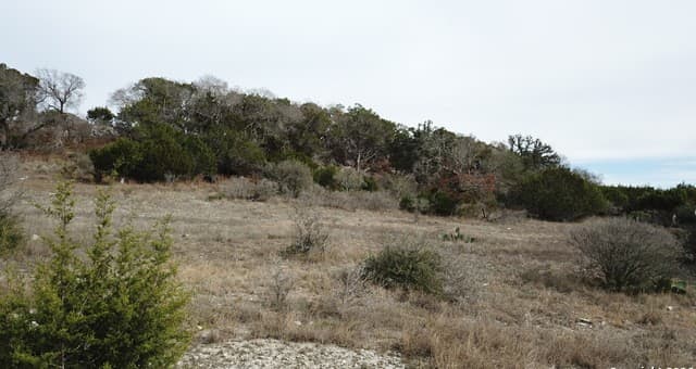 rental at 335 Arthur CT in Spring Branch, TX — photo 1