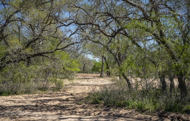 rental at 2731 County Road 770 in Natalia, TX — photo 1