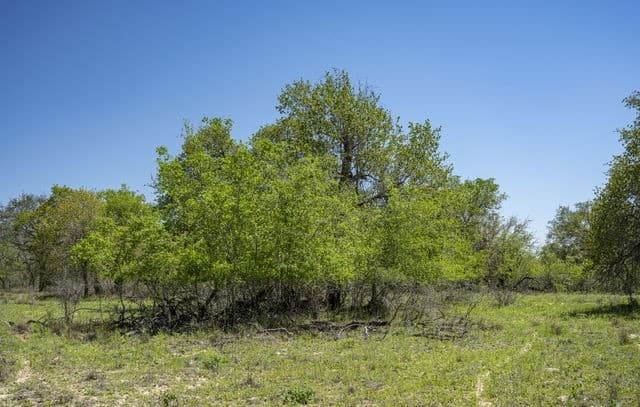 rental at 2721 County Road 770 in Natalia, TX — photo 1