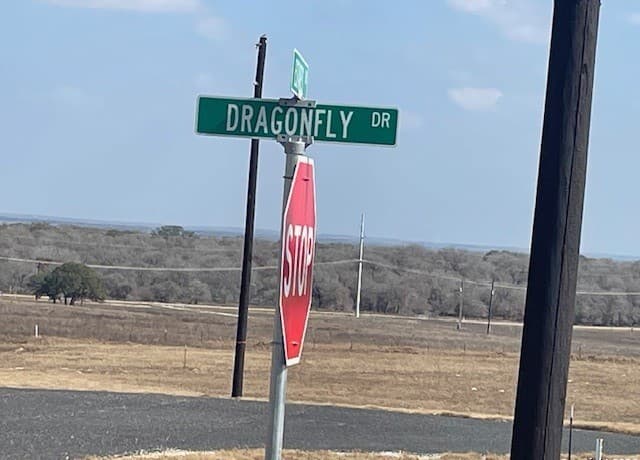 rental at 116 Dragonfly in La Vernia, TX — photo 4