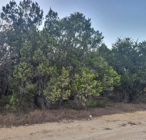 rental at 0 Tbd (Oak Ridge - lot 22) in Spring Branch, TX — photo 1