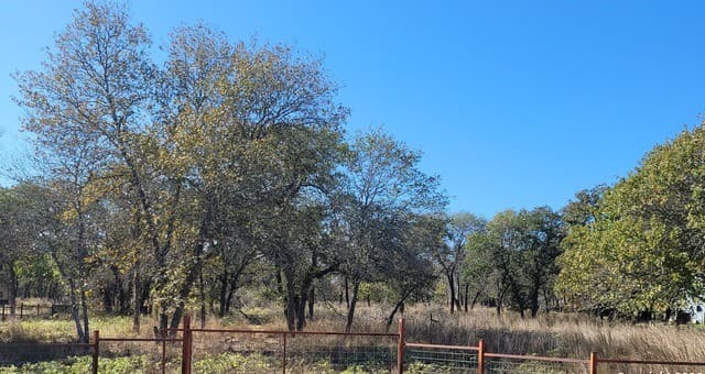 rental at 876 Evening Shade in Adkins, TX — photo 1