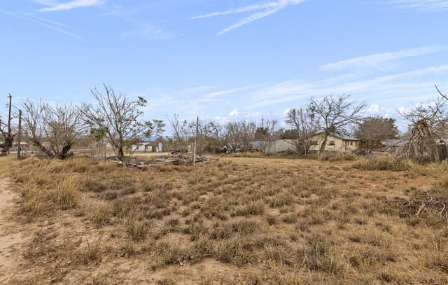 rental at 231 E 4th in Elmendorf, TX — photo 3