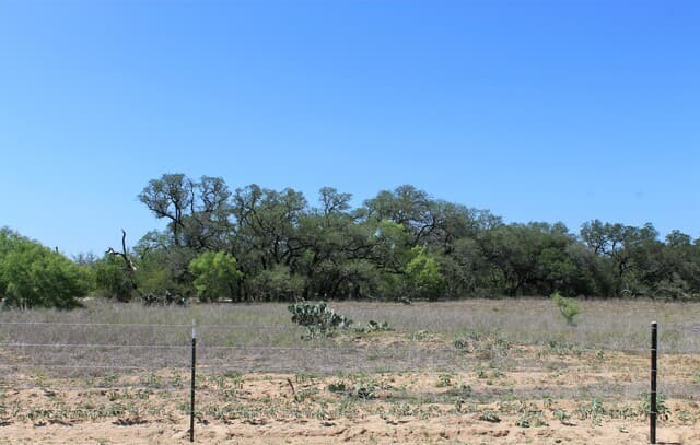 rental at 11913 W Fm 476 in Somerset, TX — photo 4