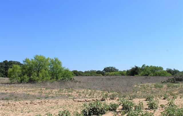 rental at 11913 W Fm 476 in Somerset, TX — photo 5