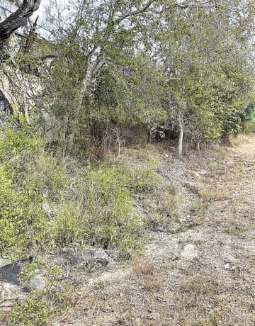 rental at TBD N Highway 37 Access in Three Rivers, TX — photo 2