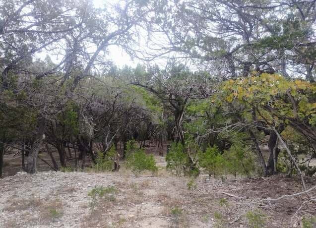 rental at 0 Frio in Bandera, TX — photo 1