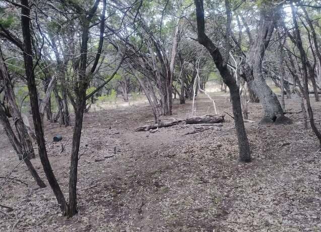 rental at 0 Frio in Bandera, TX — photo 4