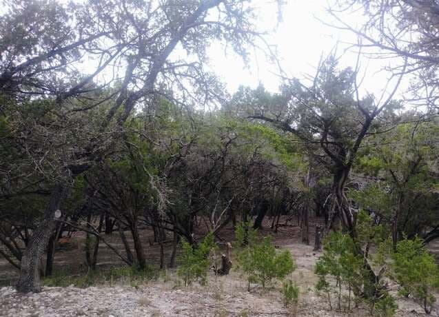 rental at 0 Frio in Bandera, TX — photo 5