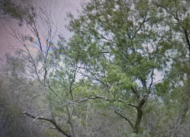 rental at 00 SS Farms Lot 1920 in Christine, TX — photo 2