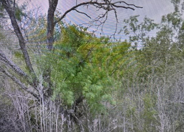 rental at 00 SS Farms Lot 1920 in Christine, TX — photo 3