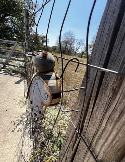 rental at 20 Clear Lake Loop in Poteet, TX — photo 4