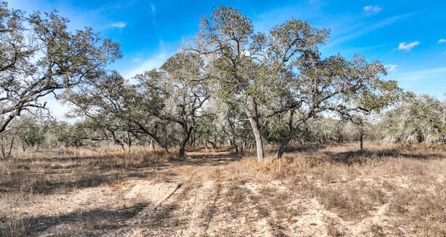 rental at 2703 Cr 770 in Natalia, TX — photo 2
