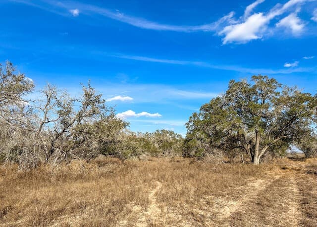 rental at 2703 Cr 770 in Natalia, TX — photo 3