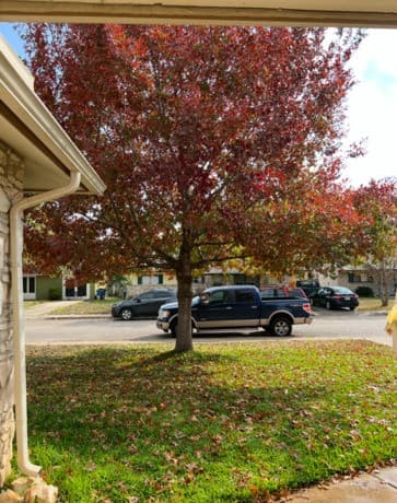 3-bedroom rental at 1033 Gettysburg in Schertz, TX — photo 5
