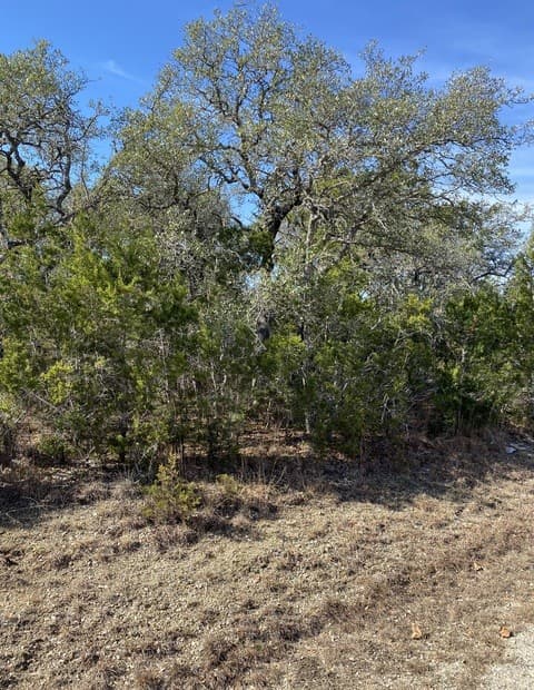rental at 359 Moosehead in Spring Branch, TX — photo 2