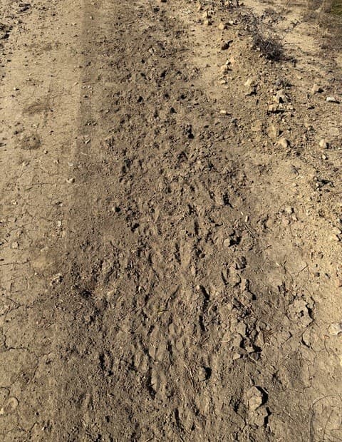 rental at TBD CR 2537/Moore Hollow Road in Moore, TX — photo 3