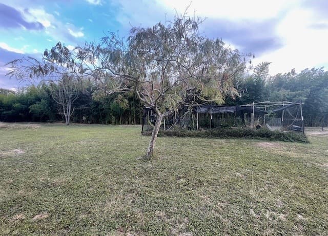 3-bedroom rental at 9710 County Road 5723 in Castroville, TX — photo 4