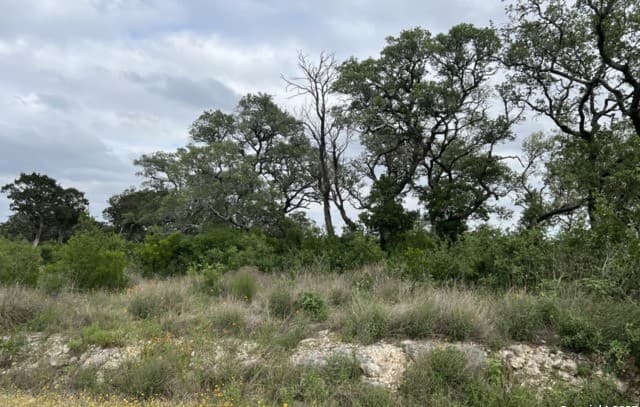 rental at TBD Pr 2771 in Mico, TX — photo 4
