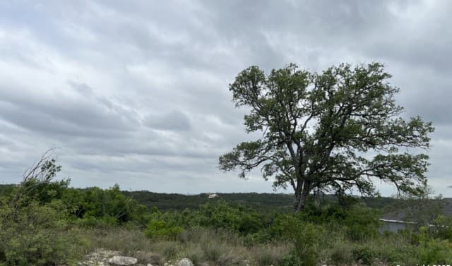 rental at TBD Pr 2771 in Mico, TX — photo 5