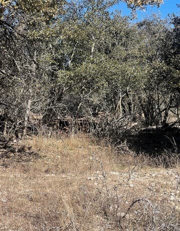 rental at LOT #12 Enchanted River Dr. in Bandera, TX — photo 5