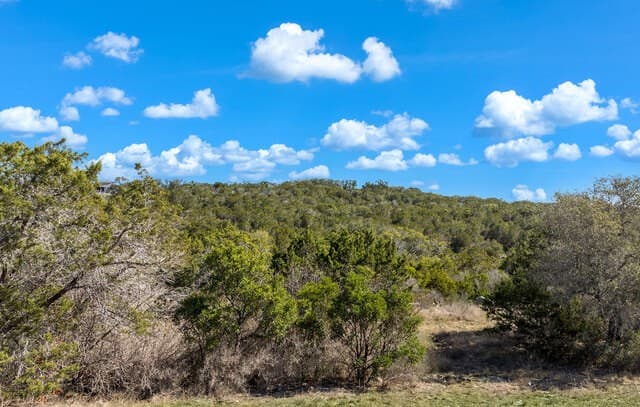 rental at 171 County Road 2814 in Mico, TX — photo 4