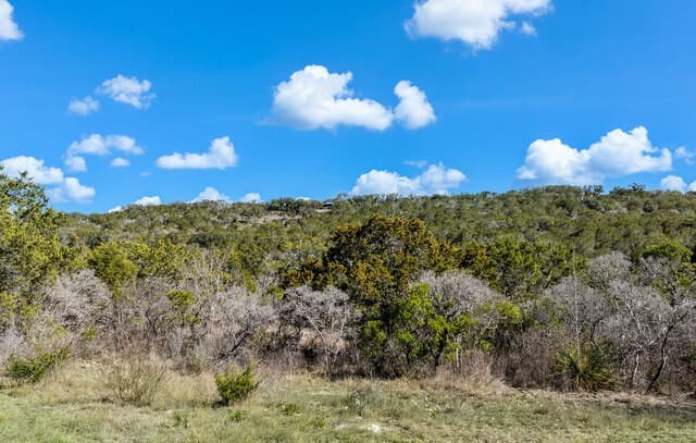 rental at 171 County Road 2814 in Mico, TX — photo 5