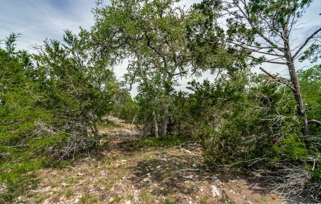 rental at 645 Arthur Ave in Kerrville, TX — photo 4
