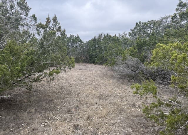 home for sale at LOT 71 S Cliff in Spring Branch TX