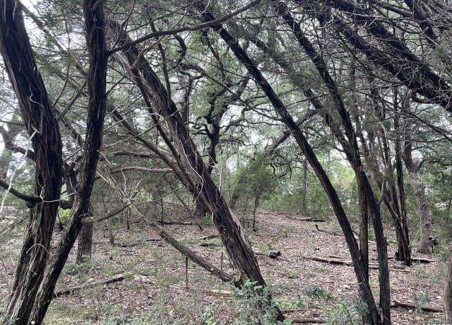 rental at 472 Stallion Estates Dr in Spring Branch, TX — photo 4