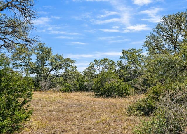 rental at 210 Coneflower in Spring Branch, TX — photo 2