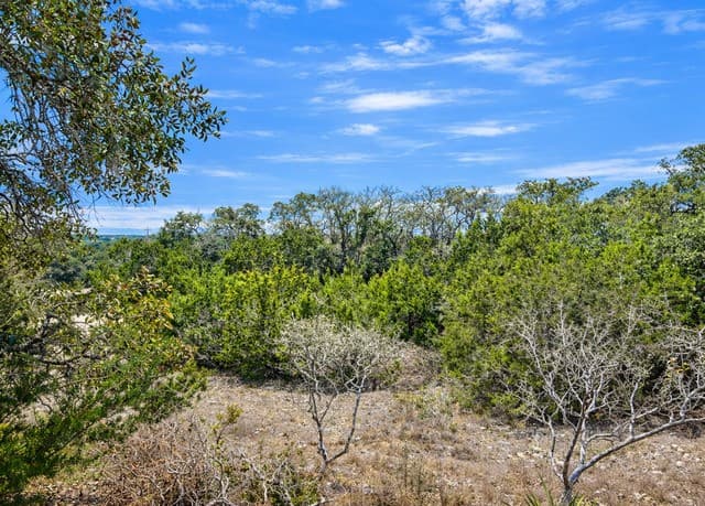 rental at 210 Coneflower in Spring Branch, TX — photo 3