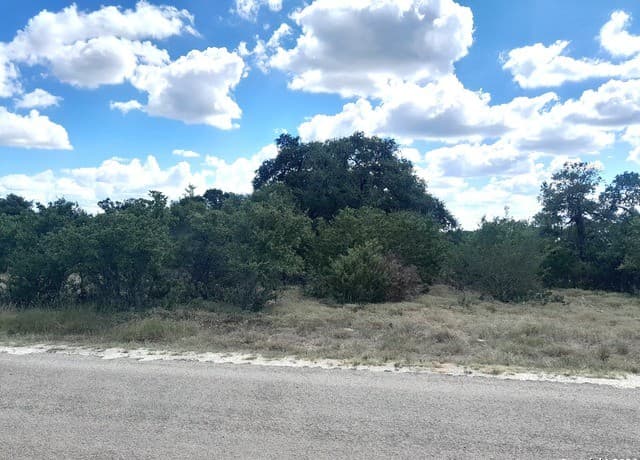 rental at 612 Calvin Barrett in Blanco, TX — photo 1