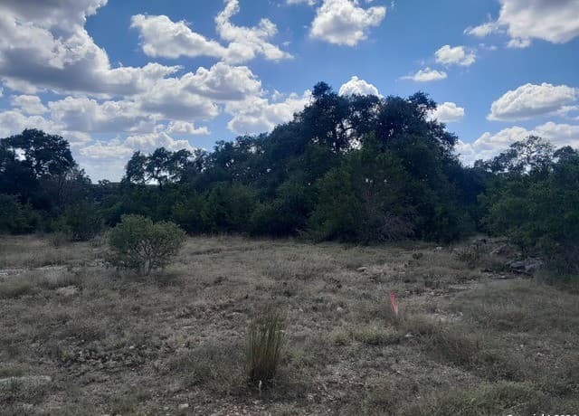 rental at 612 Calvin Barrett in Blanco, TX — photo 2