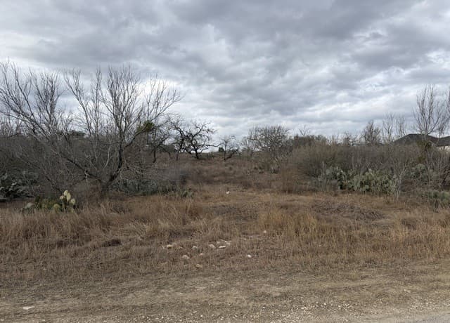 rental at 377 County Road 367 in Hondo, TX — photo 1