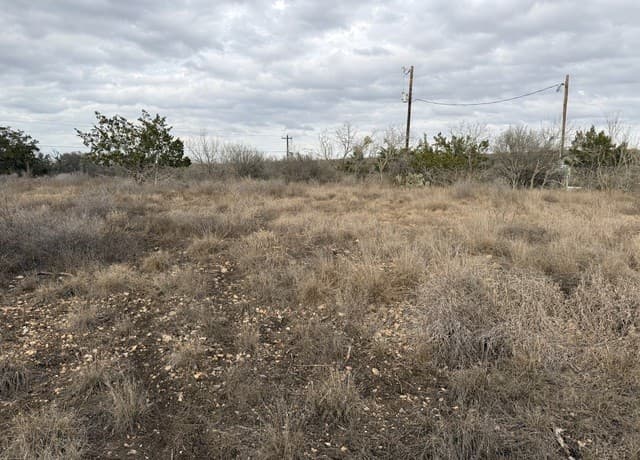 rental at 377 County Road 367 in Hondo, TX — photo 5