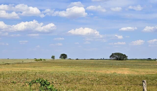 rental at TBD Fm472 in Bigfoot, TX — photo 3