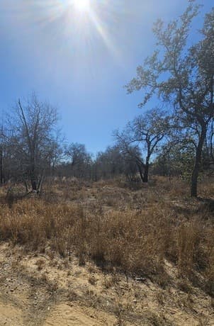 rental at IH 35 Ih 35 Esm in Natalia, TX — photo 3