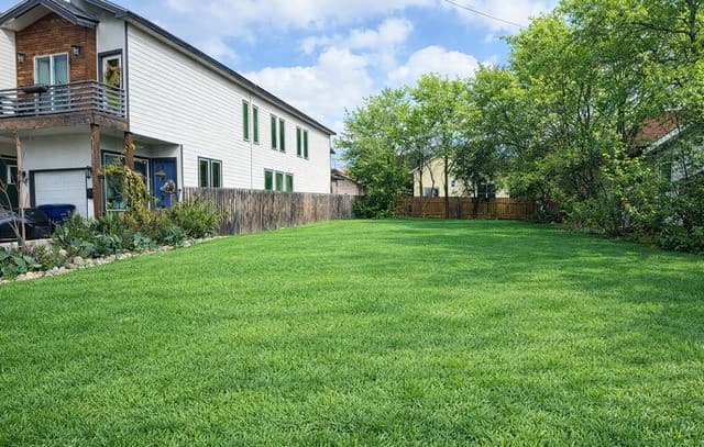rental at 606 S Olive St in San Antonio, TX — photo 1