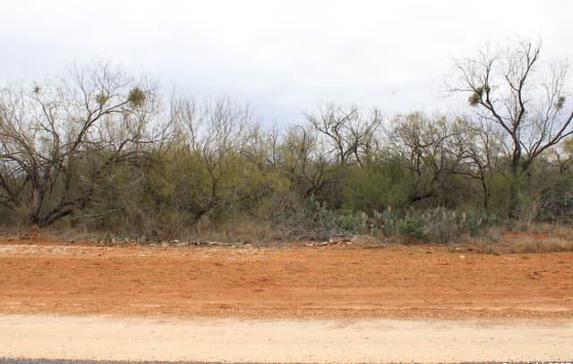 rental at 3435 County Road/Main Street in Pearsall, TX — photo 1