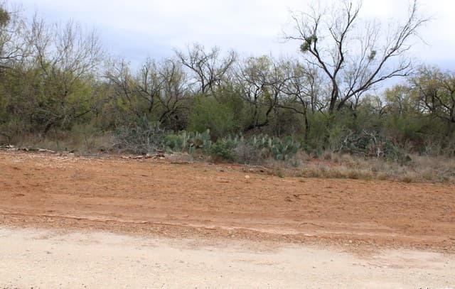 rental at 3435 County Road/Main Street in Pearsall, TX — photo 5