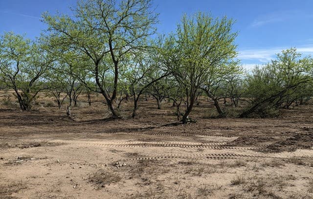 rental at 105 Sylas Hayes in Pleasanton, TX — photo 4
