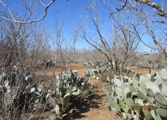 rental at 2662 County Road 307 in Floresville, TX — photo 1