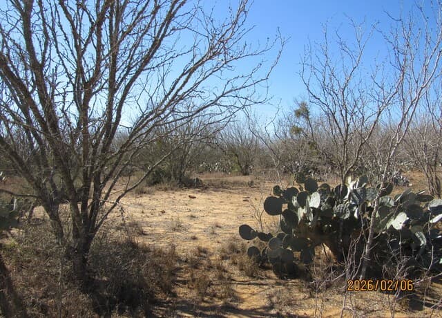 rental at 2662 County Road 307 in Floresville, TX — photo 3