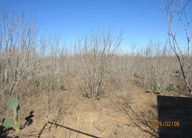 rental at 2662 County Road 307 in Floresville, TX — photo 5
