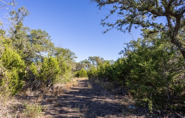 rental at BLOCK 1, LOT 25 Standing Tall in Boerne, TX — photo 3