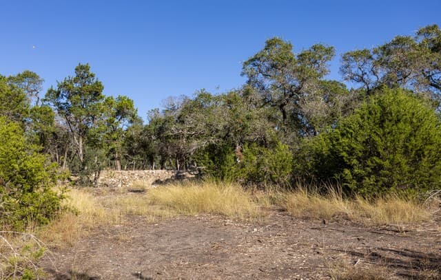 rental at BLOCK 1, LOT 25 Standing Tall in Boerne, TX — photo 4