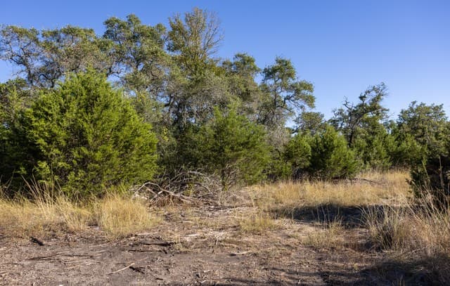 rental at BLOCK 1, LOT 25 Standing Tall in Boerne, TX — photo 5
