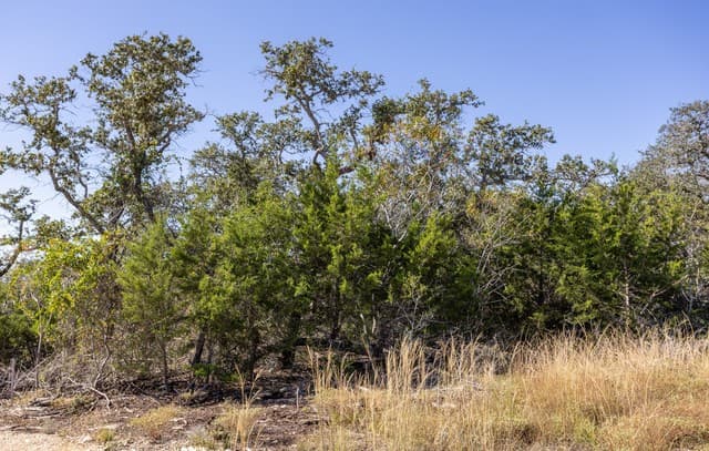 rental at BLOCK 1, LOT 13 Standing Tall in Boerne, TX — photo 3
