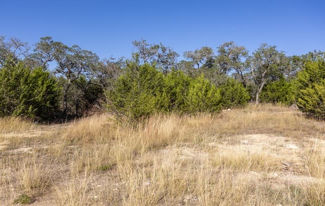 rental at BLOCK 1, LOT 11 Standing Tall in Boerne, TX — photo 4